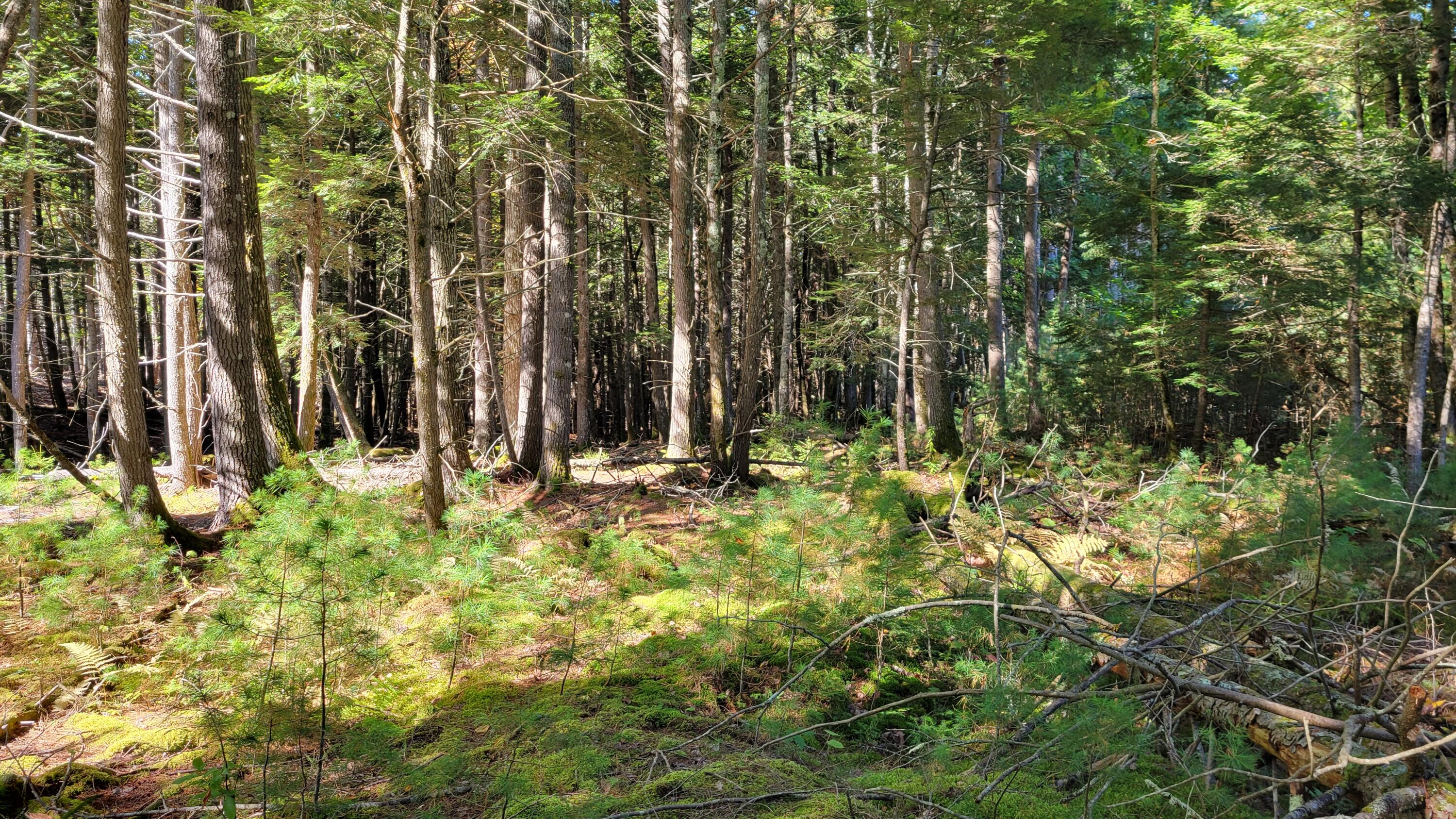 Lot 08 Sara's Way Bowdoinham ME 04008