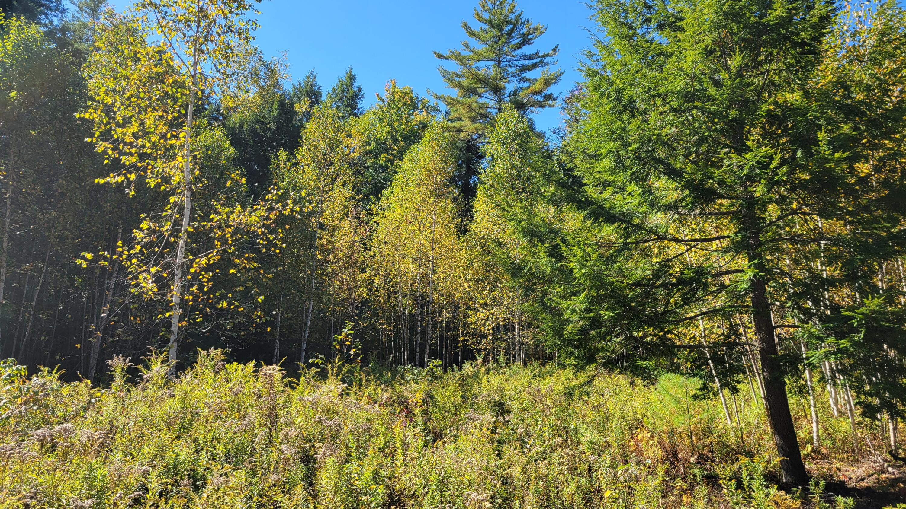 Lot 08 Sara's Way Bowdoinham ME 04008