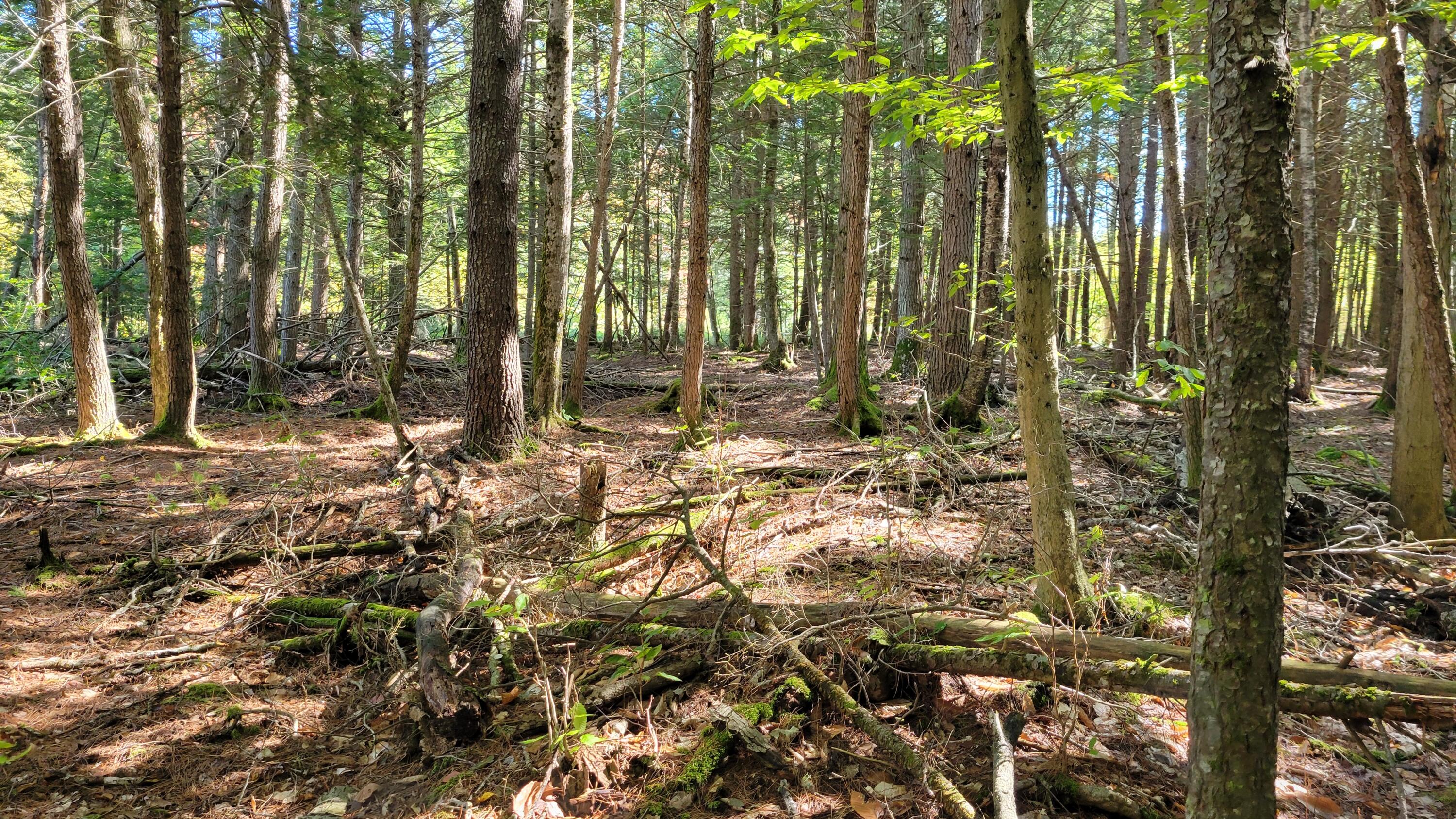 Lot 08 Sara's Way Bowdoinham ME 04008