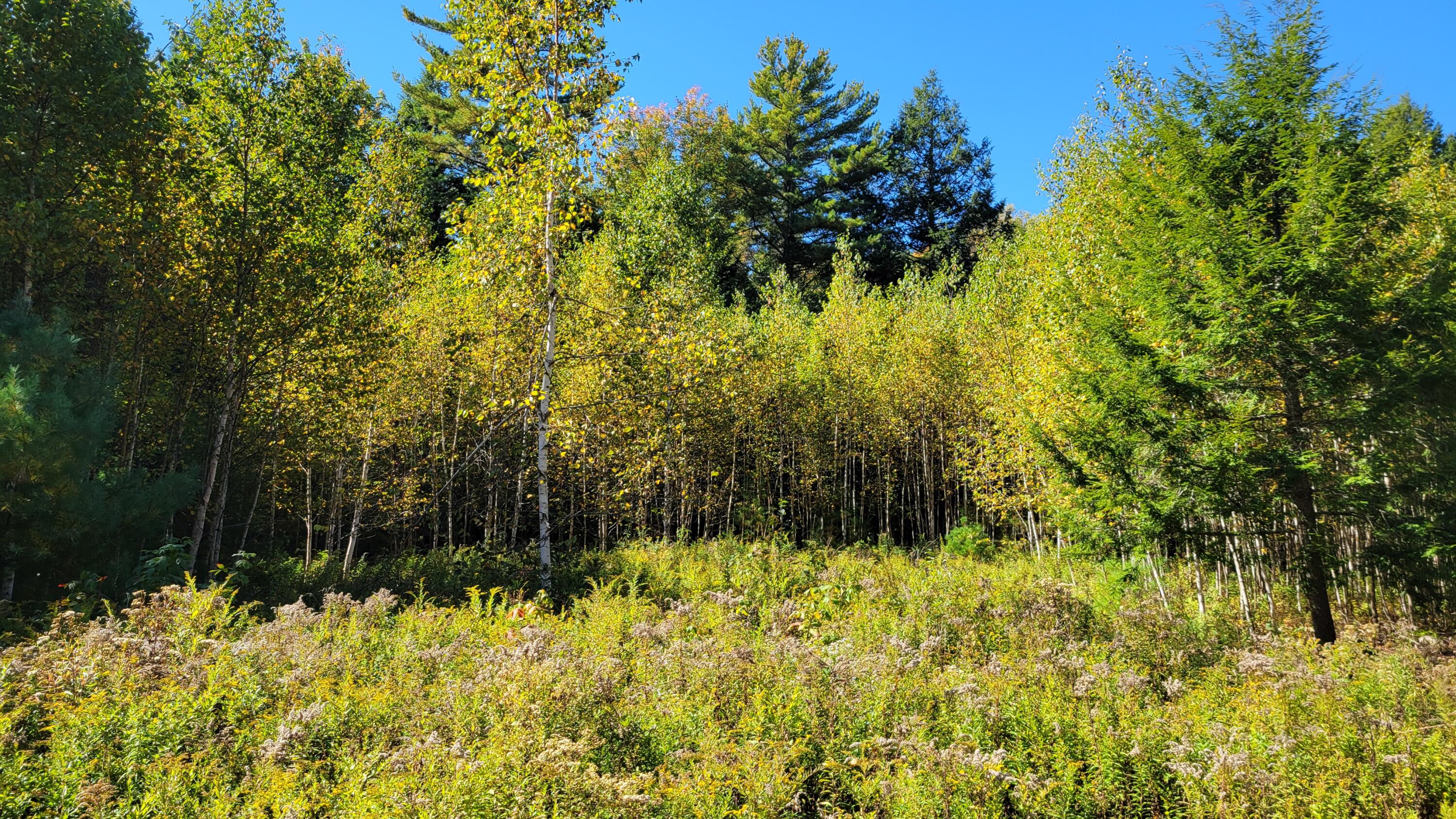 Lot 08 Sara's Way Bowdoinham ME 04008