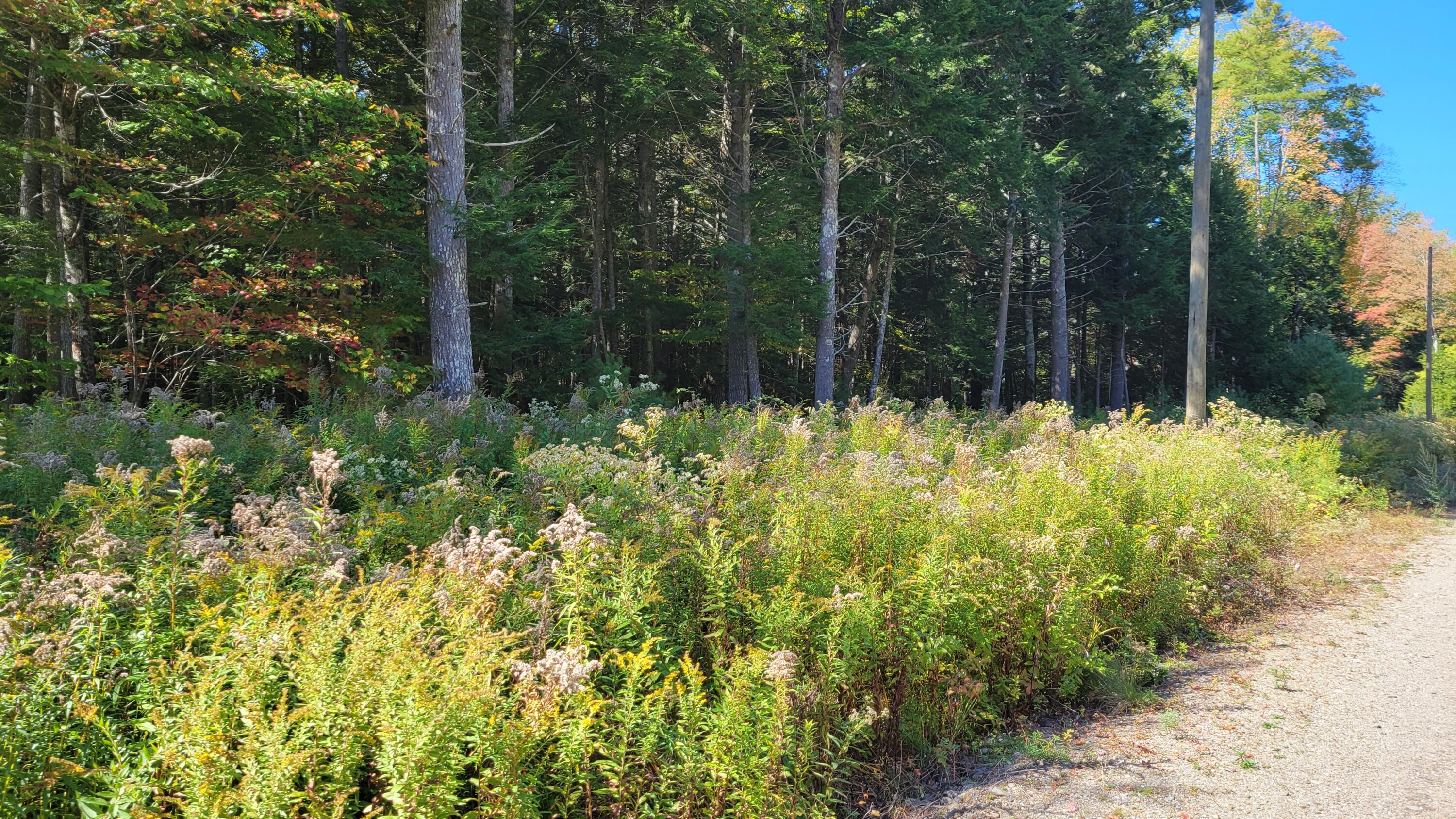 Lot 08 Sara's Way Bowdoinham ME 04008