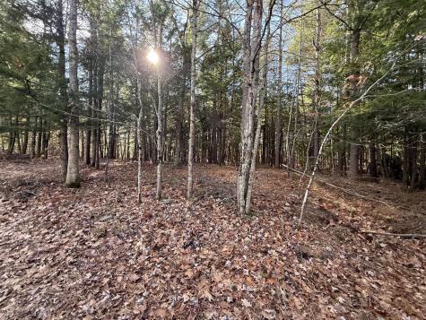 25-2 Mowry Lane Newfield ME 04076