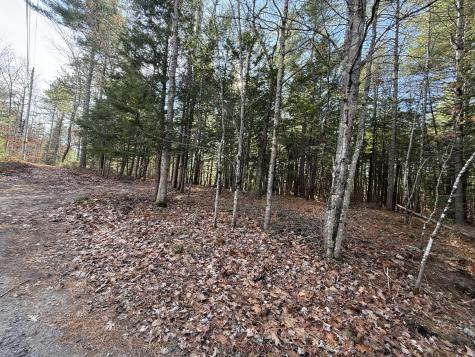 25-2 Mowry Lane Newfield ME 04076
