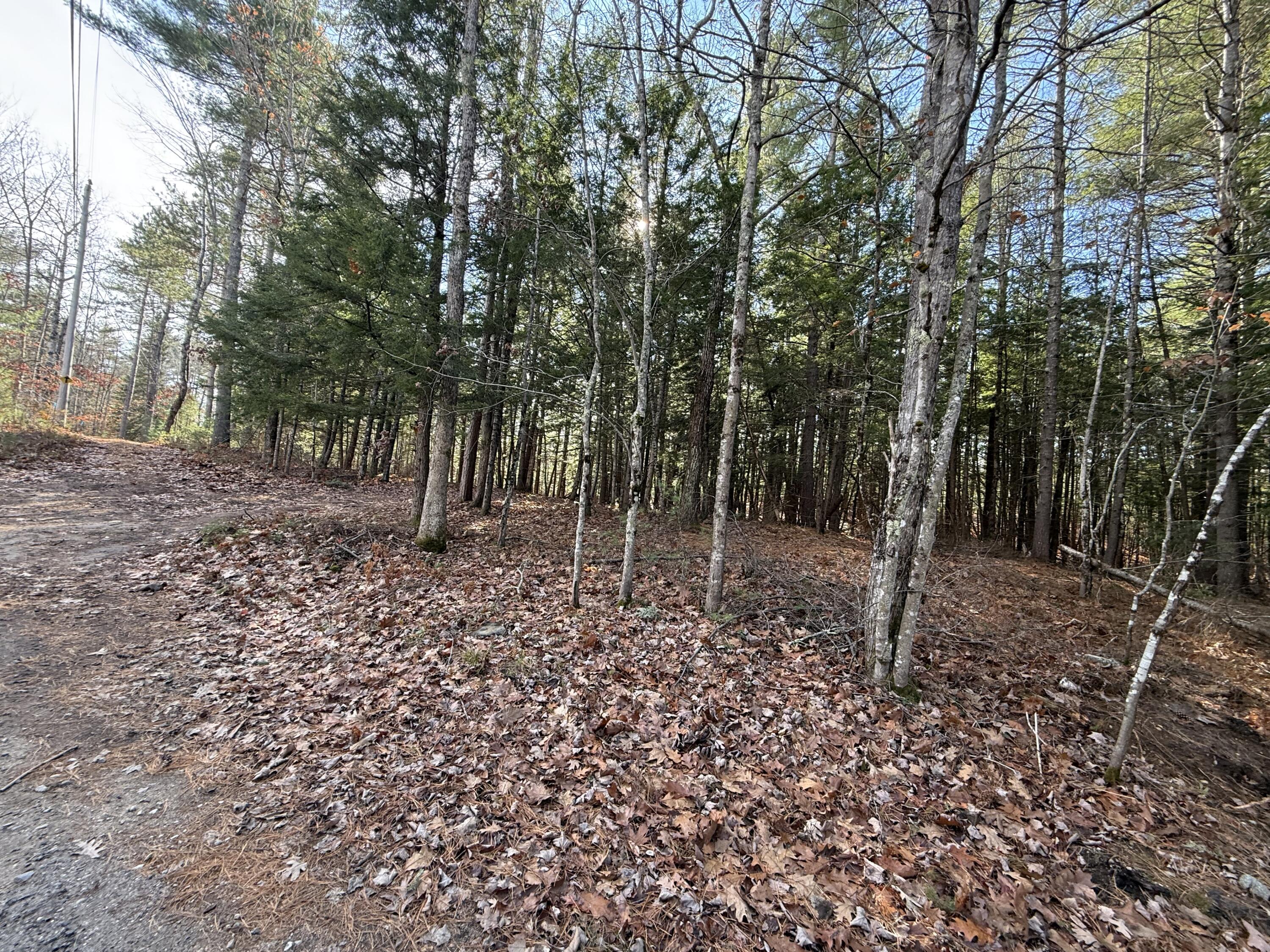 25-2 Mowry Lane Newfield ME 04076