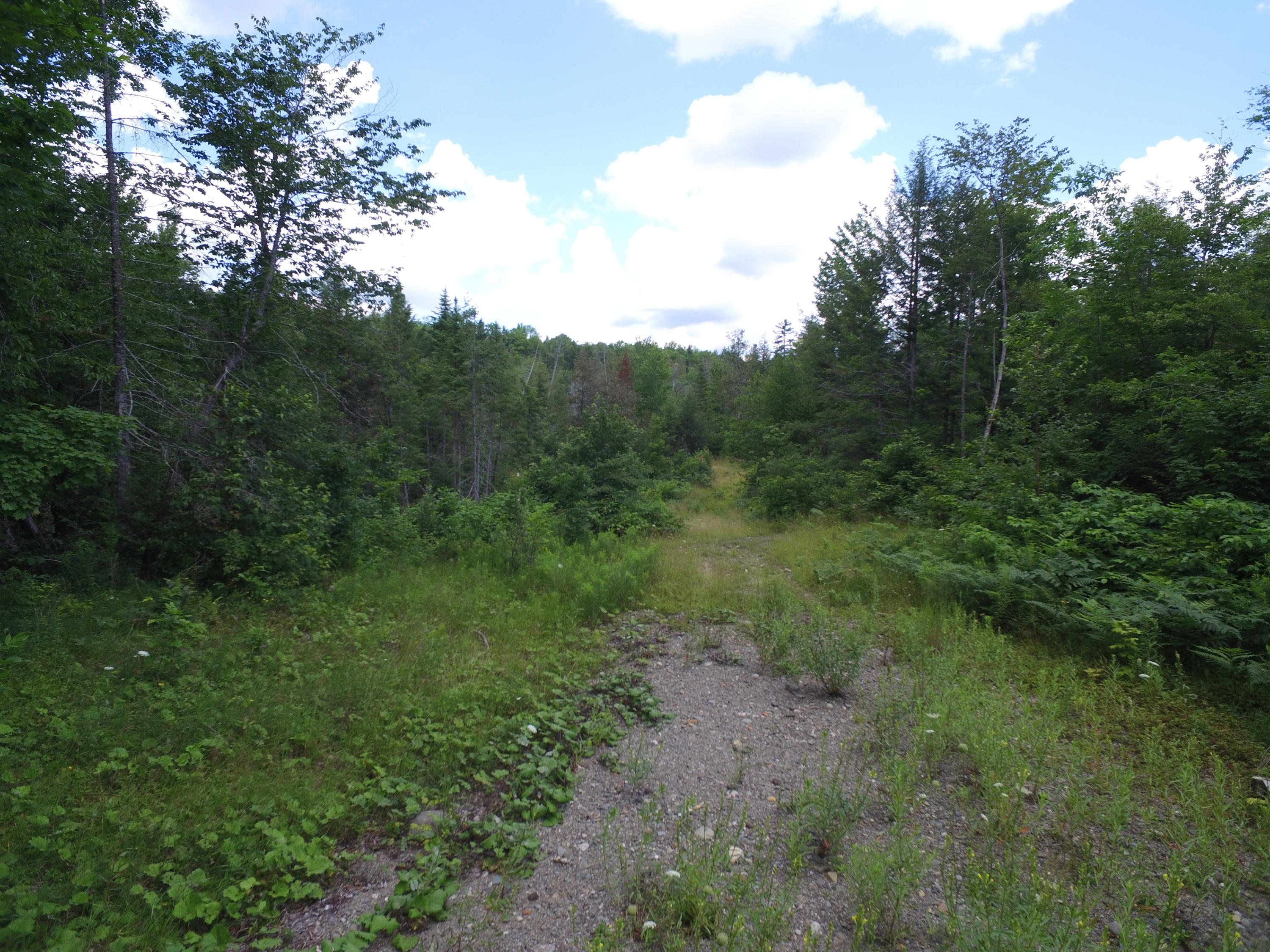 Lot 2 Maxwell Road Lee, ME