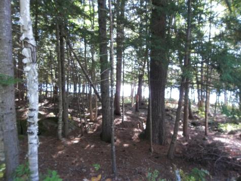 220 Bear Cove Road Baileyville ME 04694