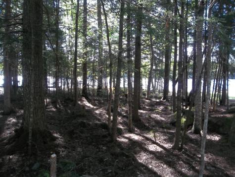 220 Bear Cove Road Baileyville ME 04694