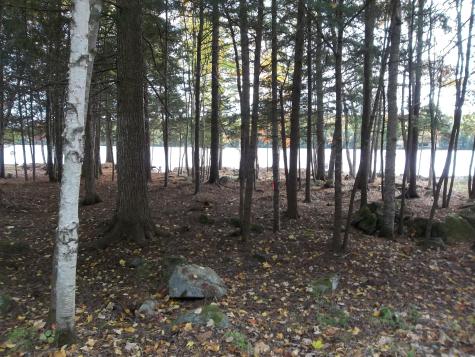 220 Bear Cove Road Baileyville ME 04694