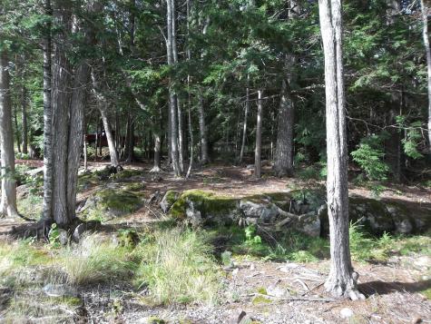 220 Bear Cove Road Baileyville ME 04694