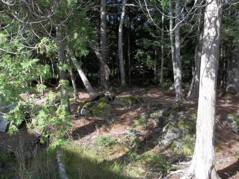 220 Bear Cove Road Baileyville ME 04694