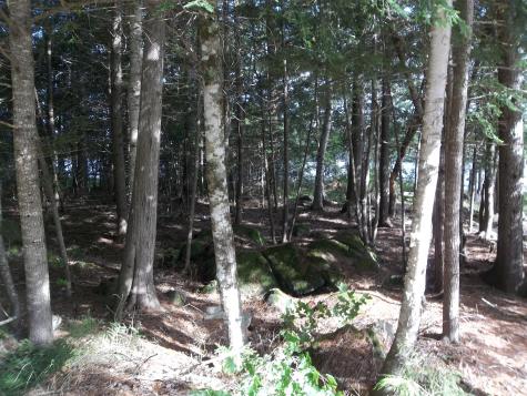 220 Bear Cove Road Baileyville ME 04694