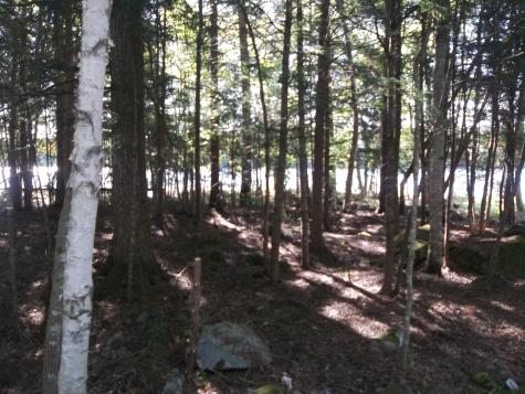 220 Bear Cove Road Baileyville ME 04694