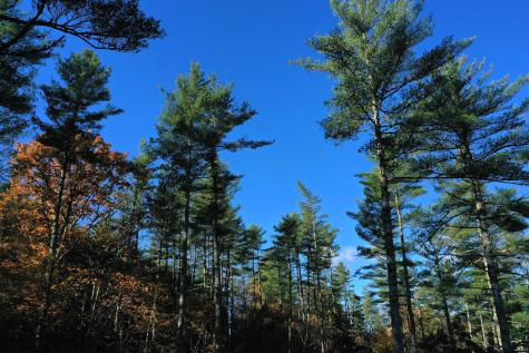 00 East Bethel Road Rumford ME 04276