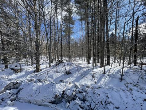 L89 Foster Hill Road Freeman Twp ME 04983