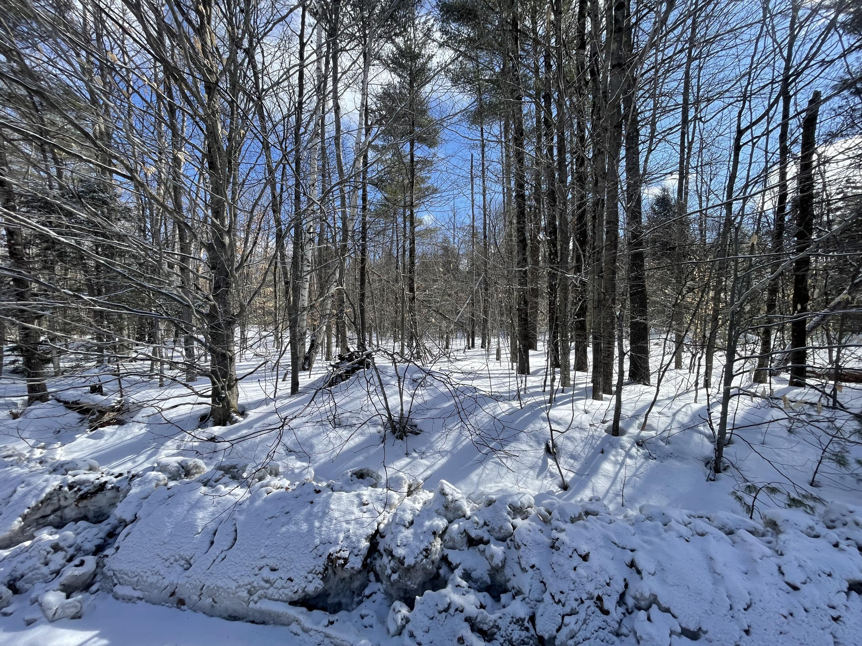 L89 Foster Hill Road Freeman Twp ME 04983