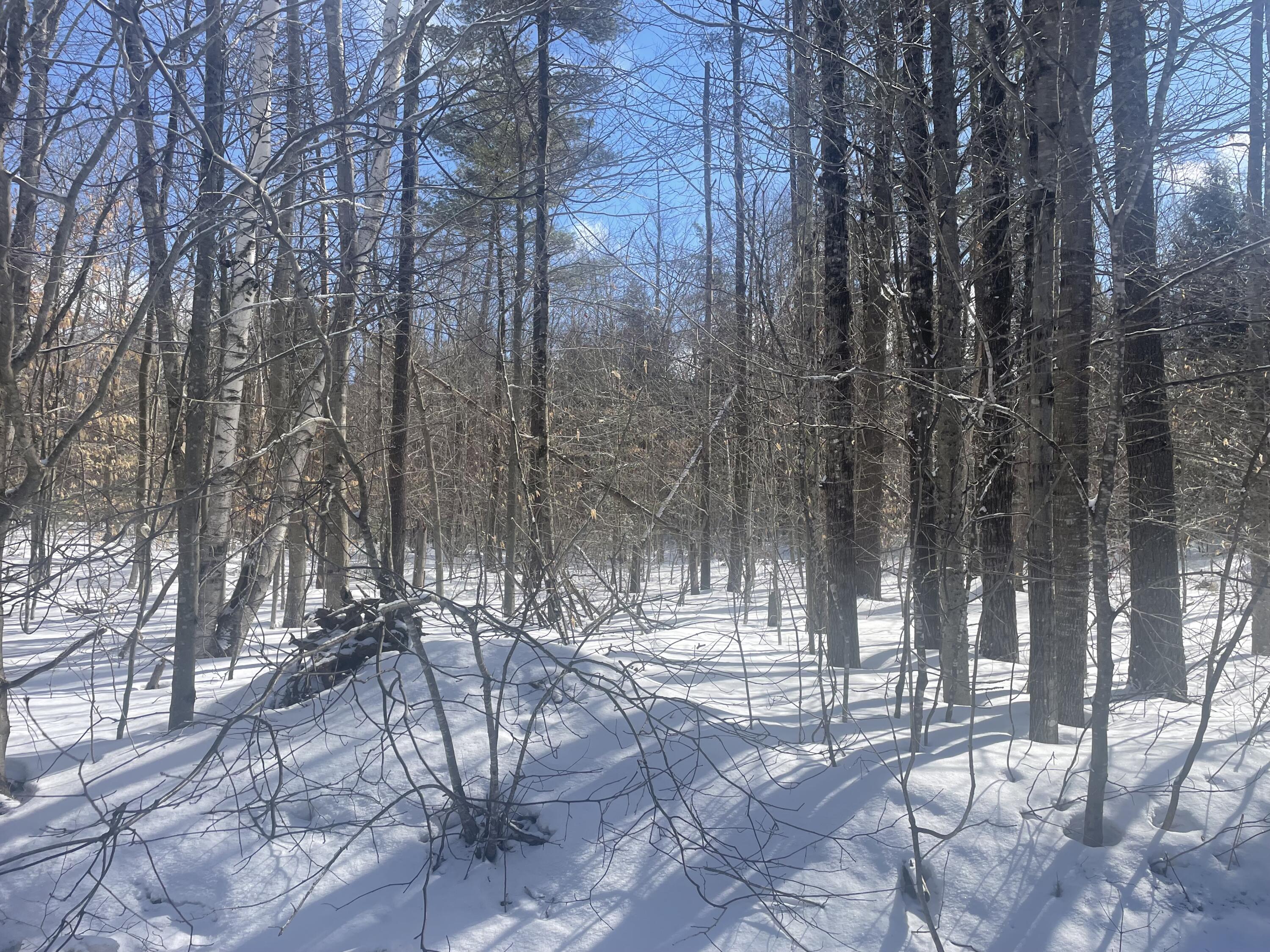 L89 Foster Hill Road Freeman Twp ME 04983