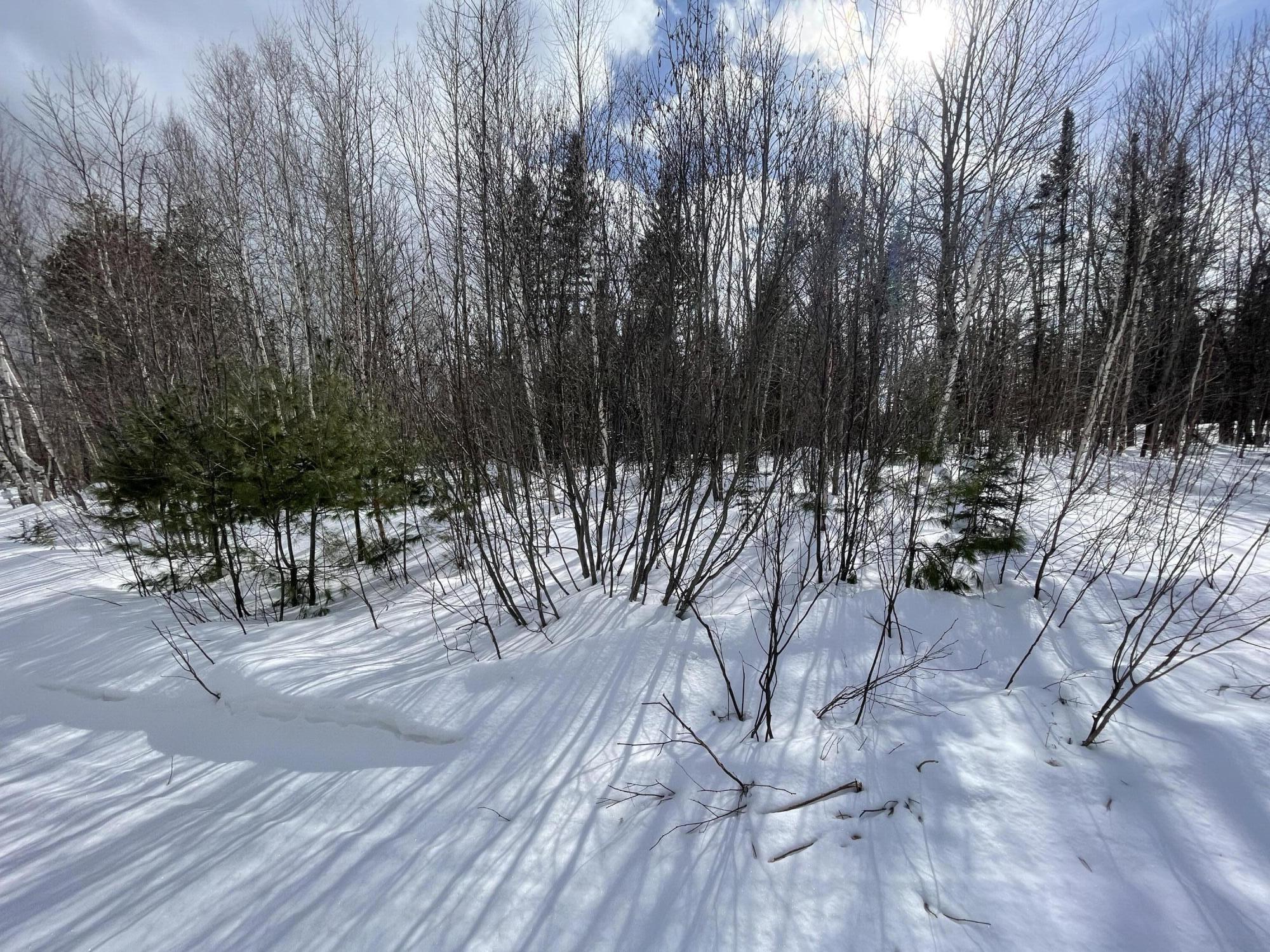 L89 Foster Hill Road Freeman Twp ME 04983