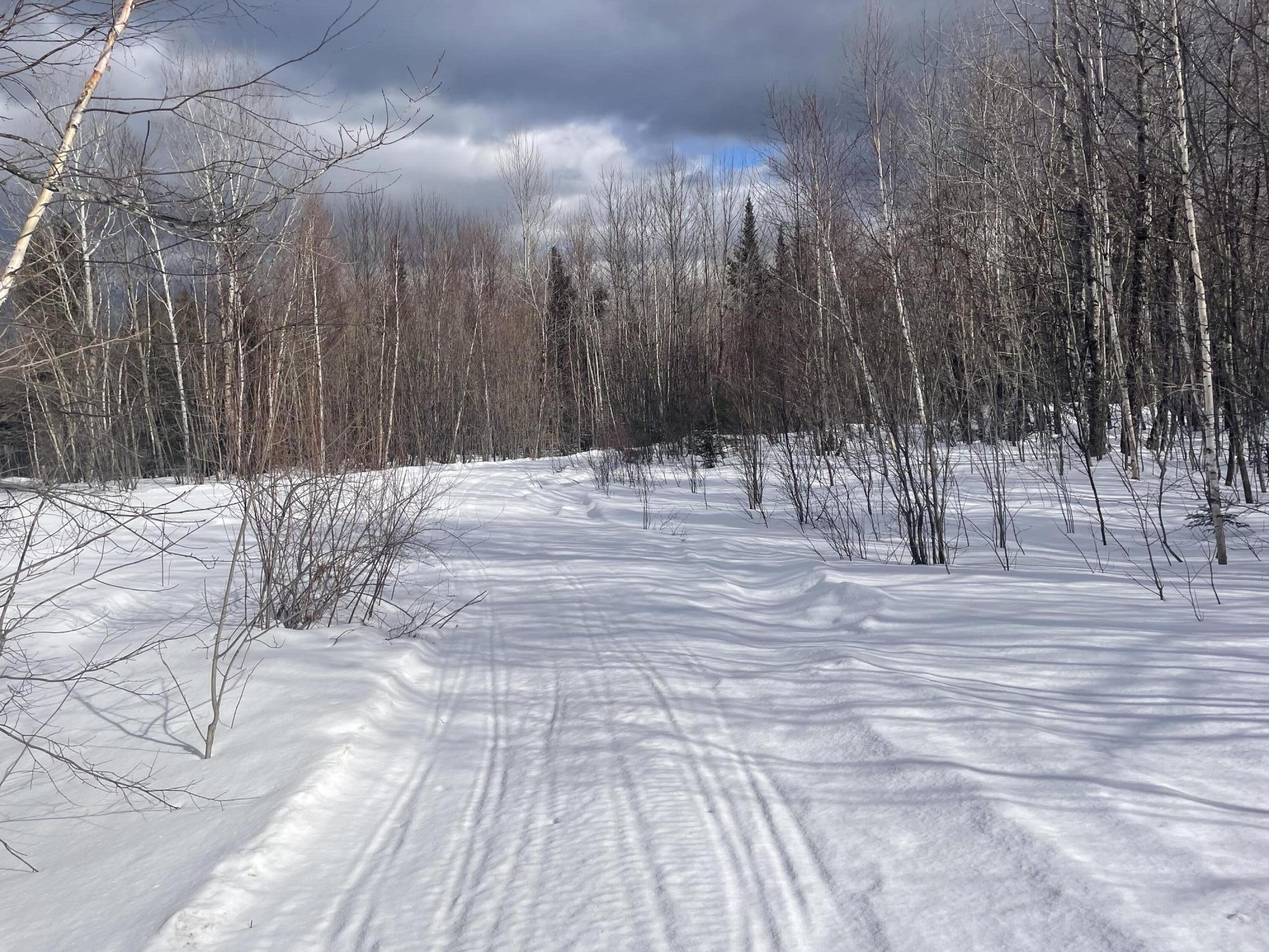 L89 Foster Hill Road Freeman Twp ME 04983