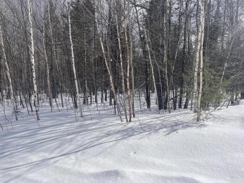 L89 Foster Hill Road Freeman Twp ME 04983