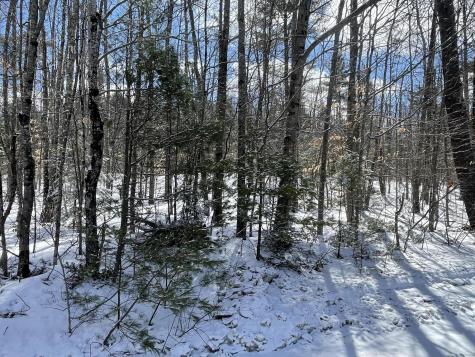 L89 Foster Hill Road Freeman Twp ME 04983