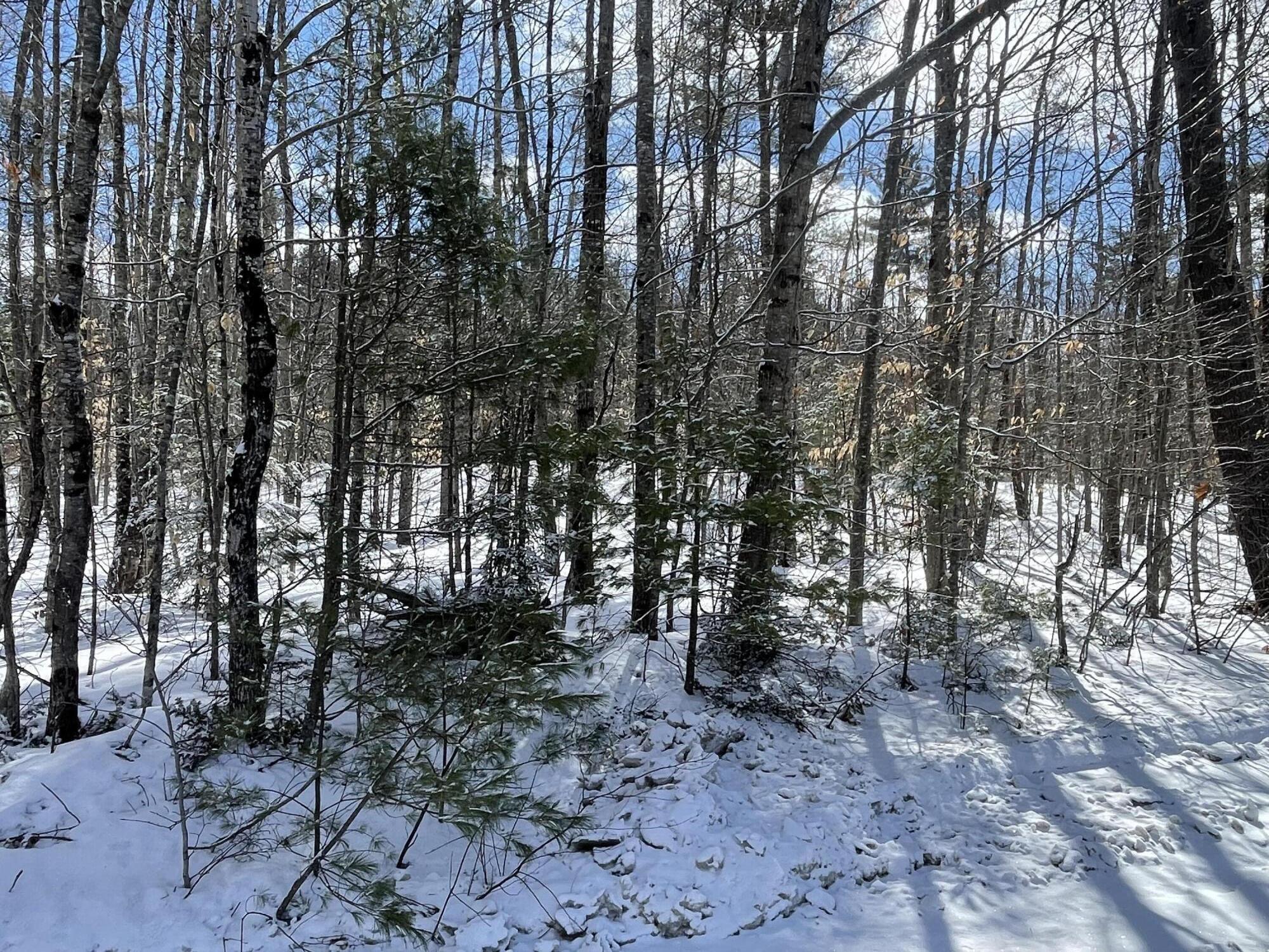 L89 Foster Hill Road Freeman Twp ME 04983