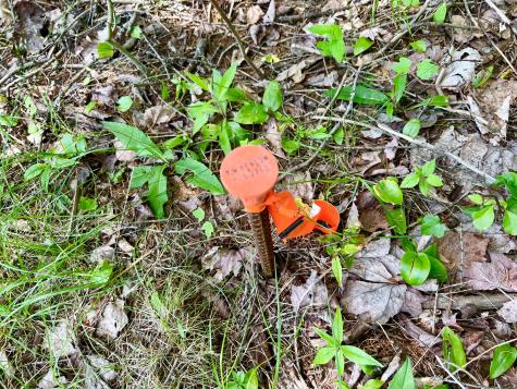 142 Seal Cove Road Southwest Harbor ME 04679