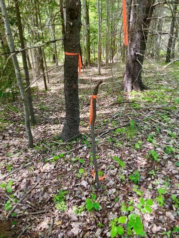 142 Seal Cove Road Southwest Harbor ME 04679