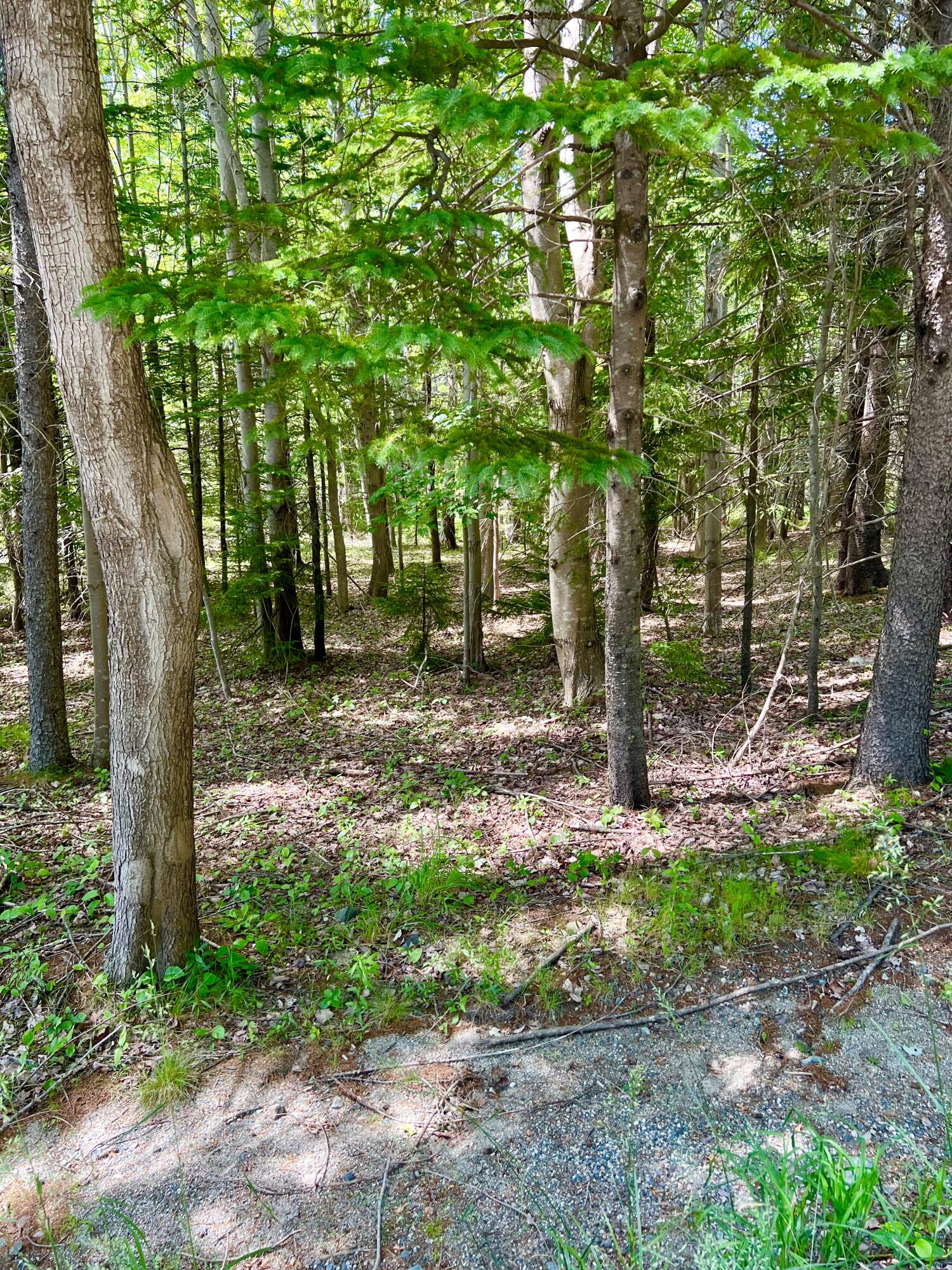 142 Seal Cove Road Southwest Harbor ME 04679