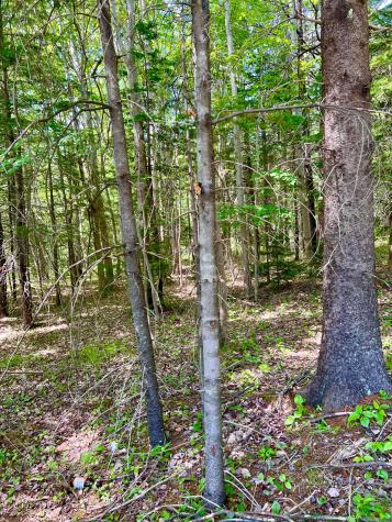 142 Seal Cove Road Southwest Harbor ME 04679