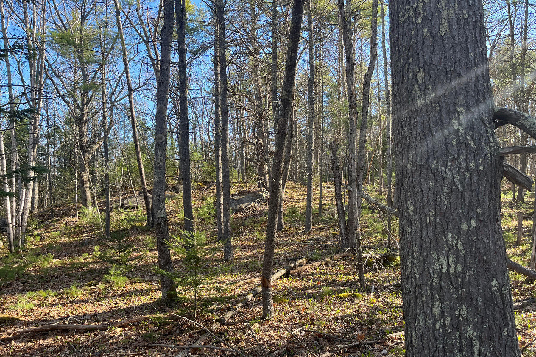 00 Skillings Drive Woolwich ME 04579