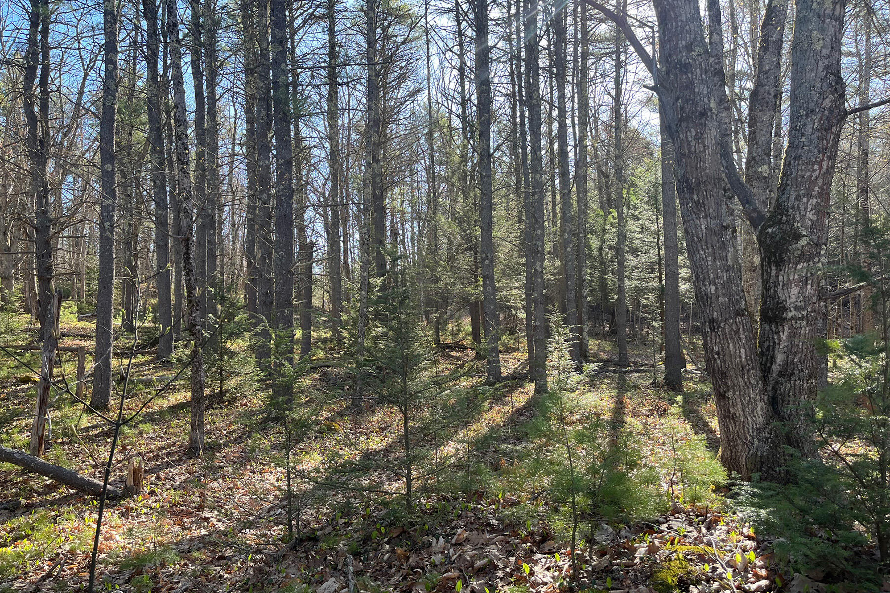 00 Skillings Drive Woolwich ME 04579