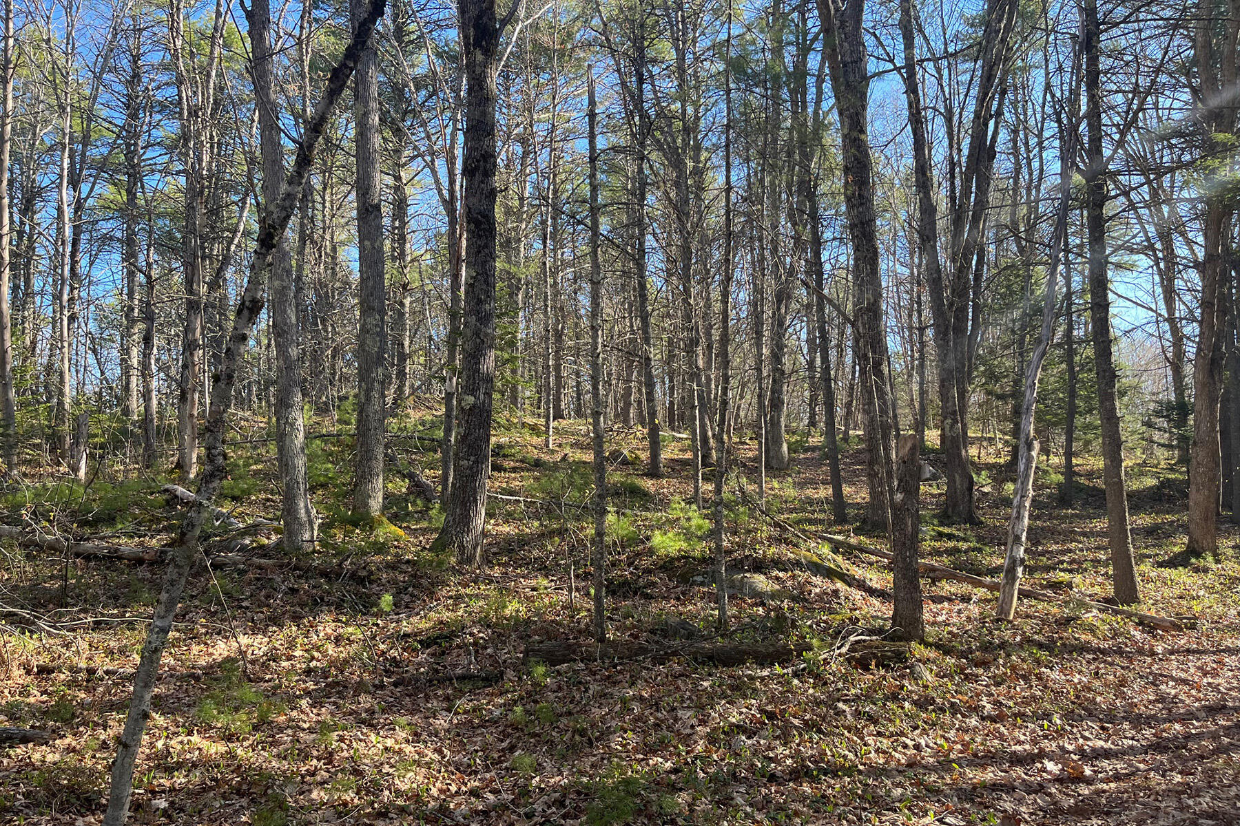 00 Skillings Drive Woolwich ME 04579