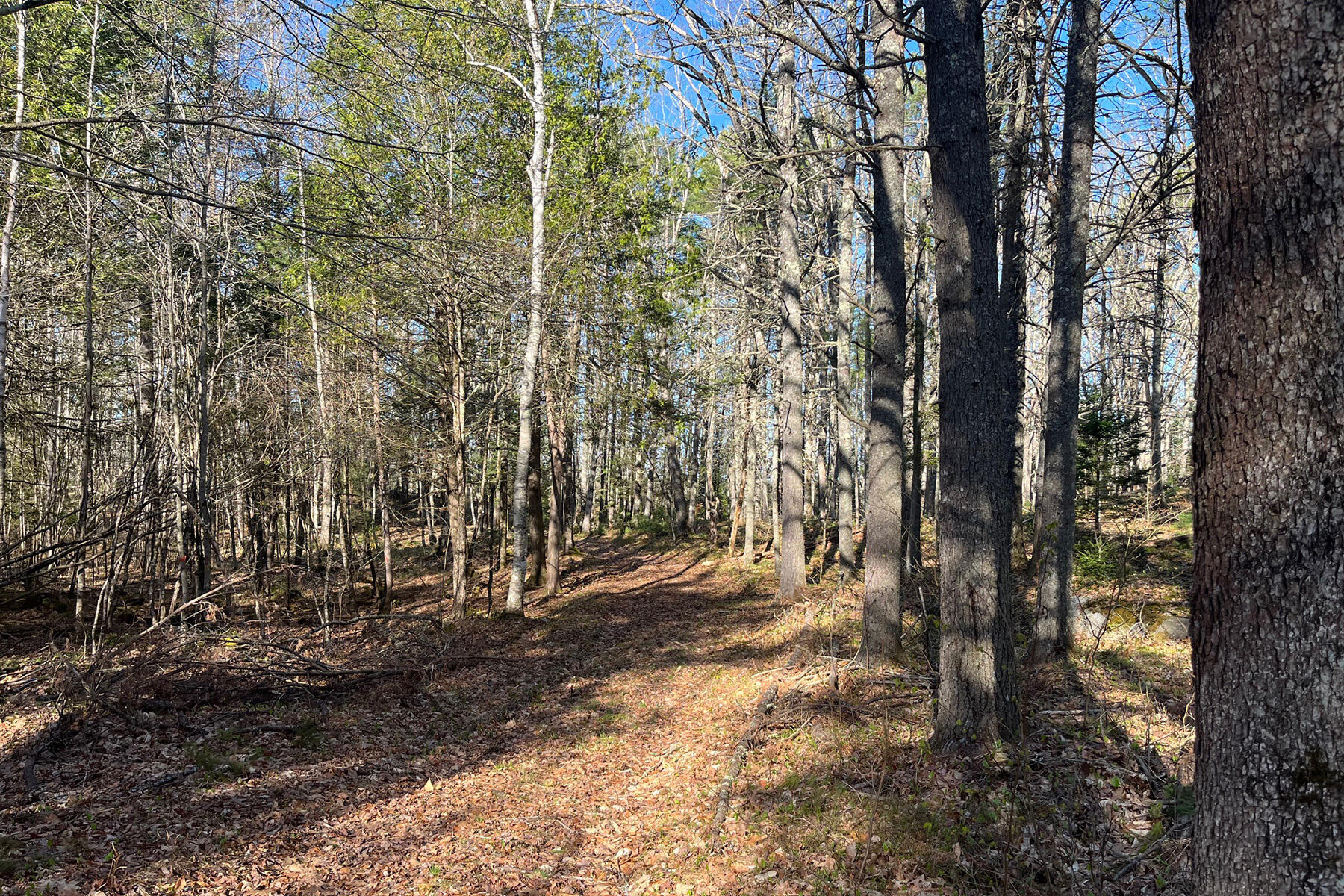 00 Skillings Drive Woolwich ME 04579