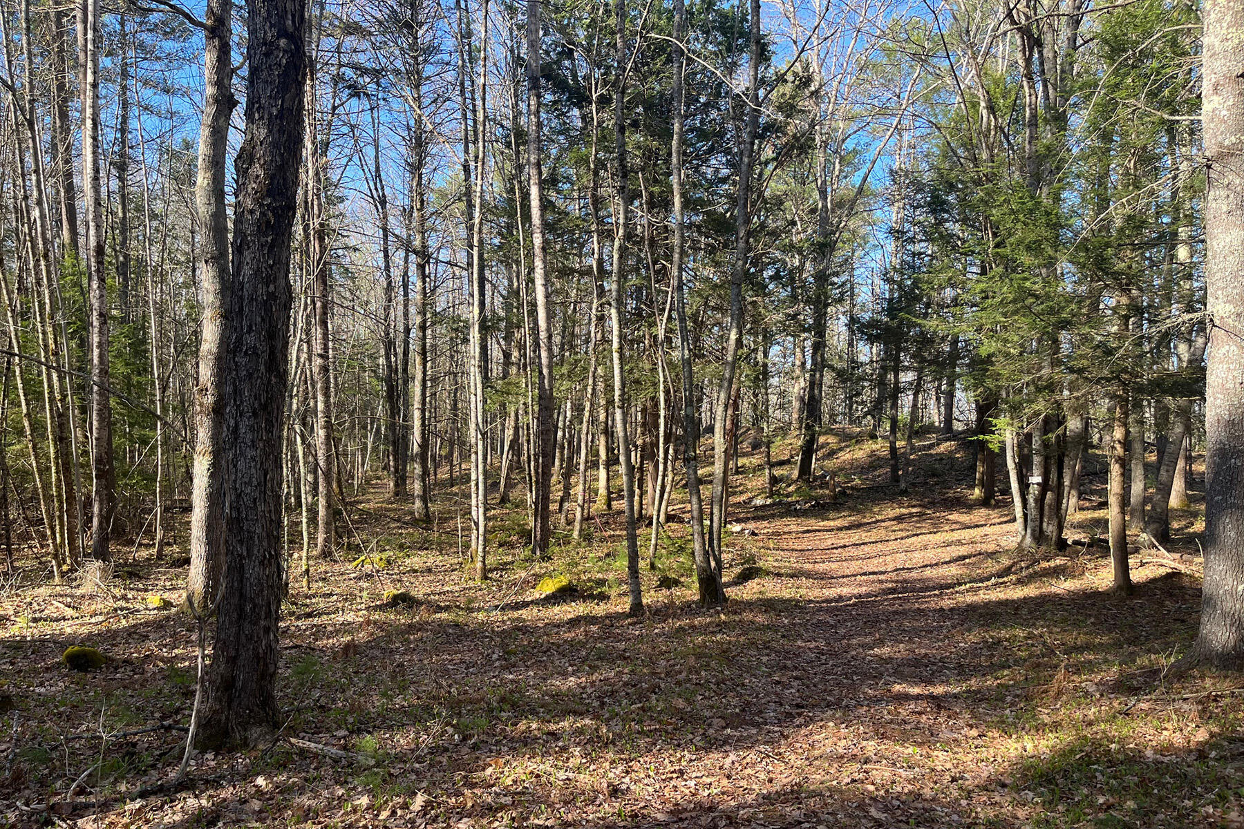 00 Skillings Drive Woolwich ME 04579