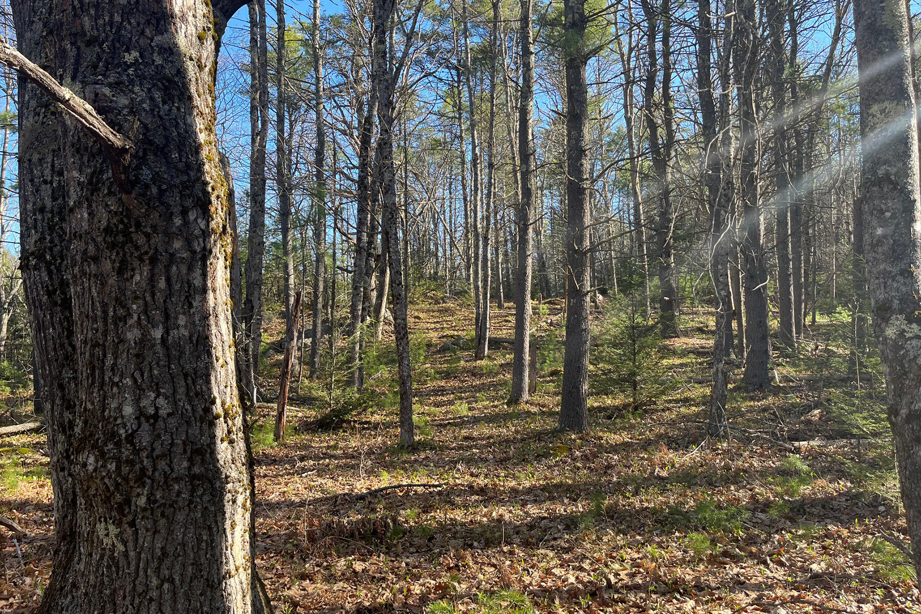 00 Skillings Drive Woolwich ME 04579