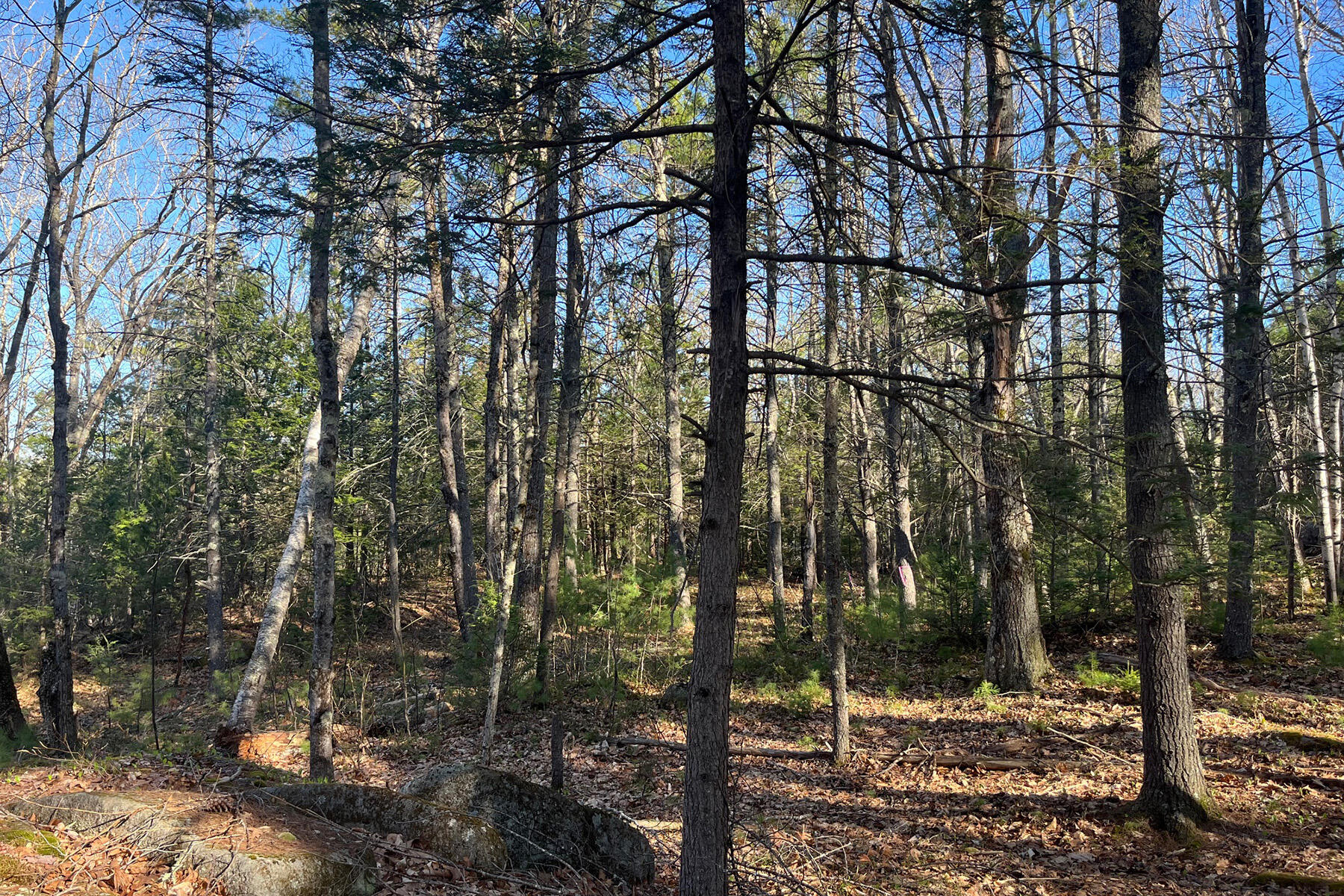 00 Skillings Drive Woolwich ME 04579