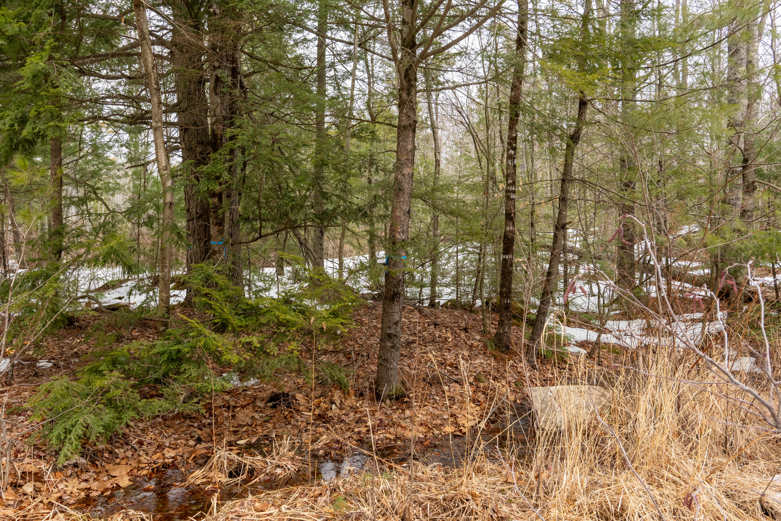 119 Mountain Road South Berwick ME 03902