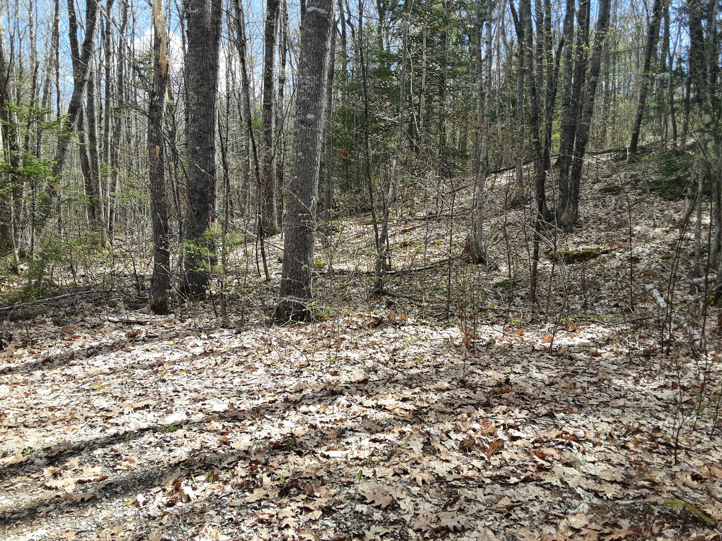 0 Libby Road Jefferson ME 04348