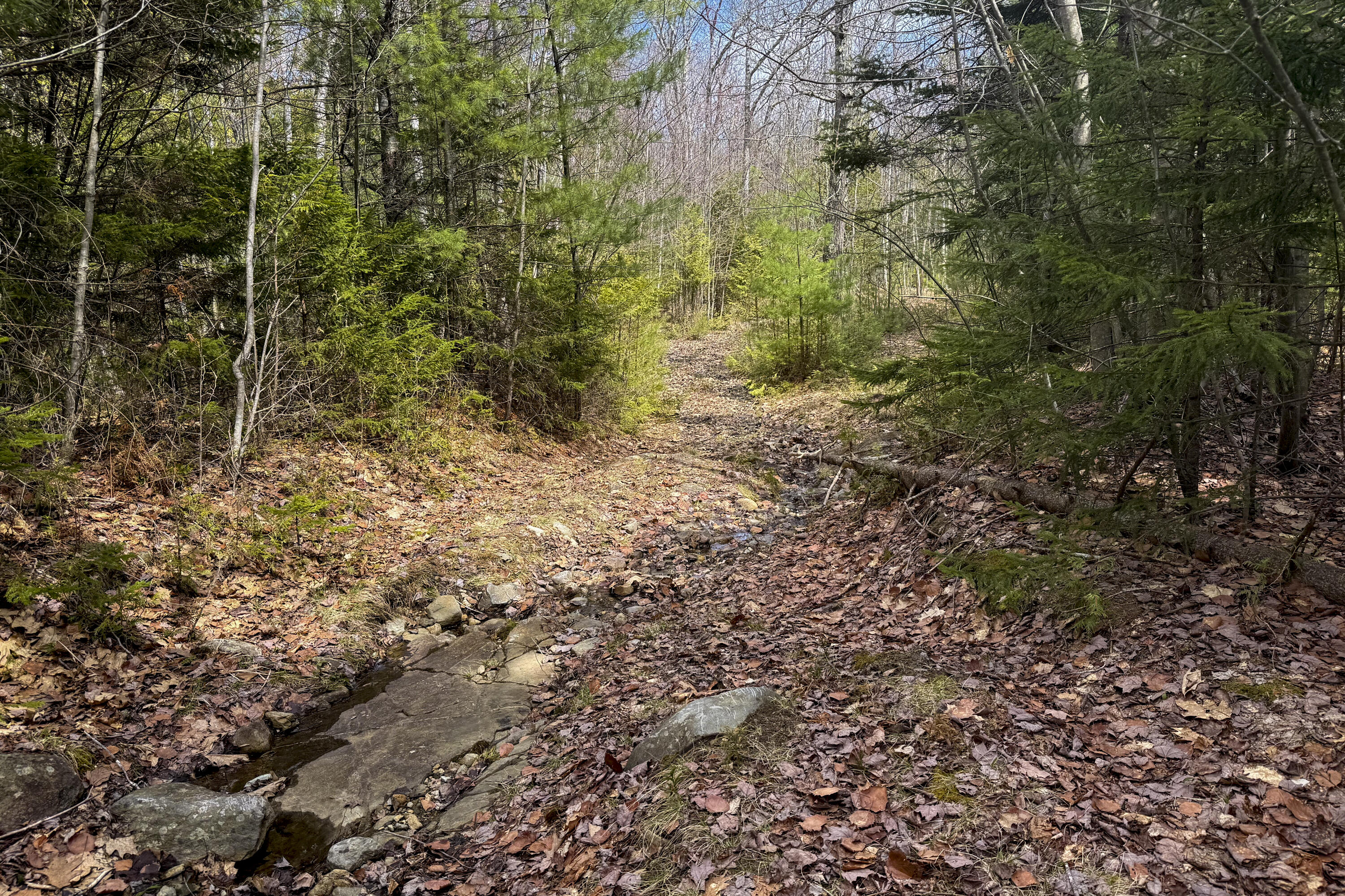2030 Atlantic Highway Lincolnville ME 04849