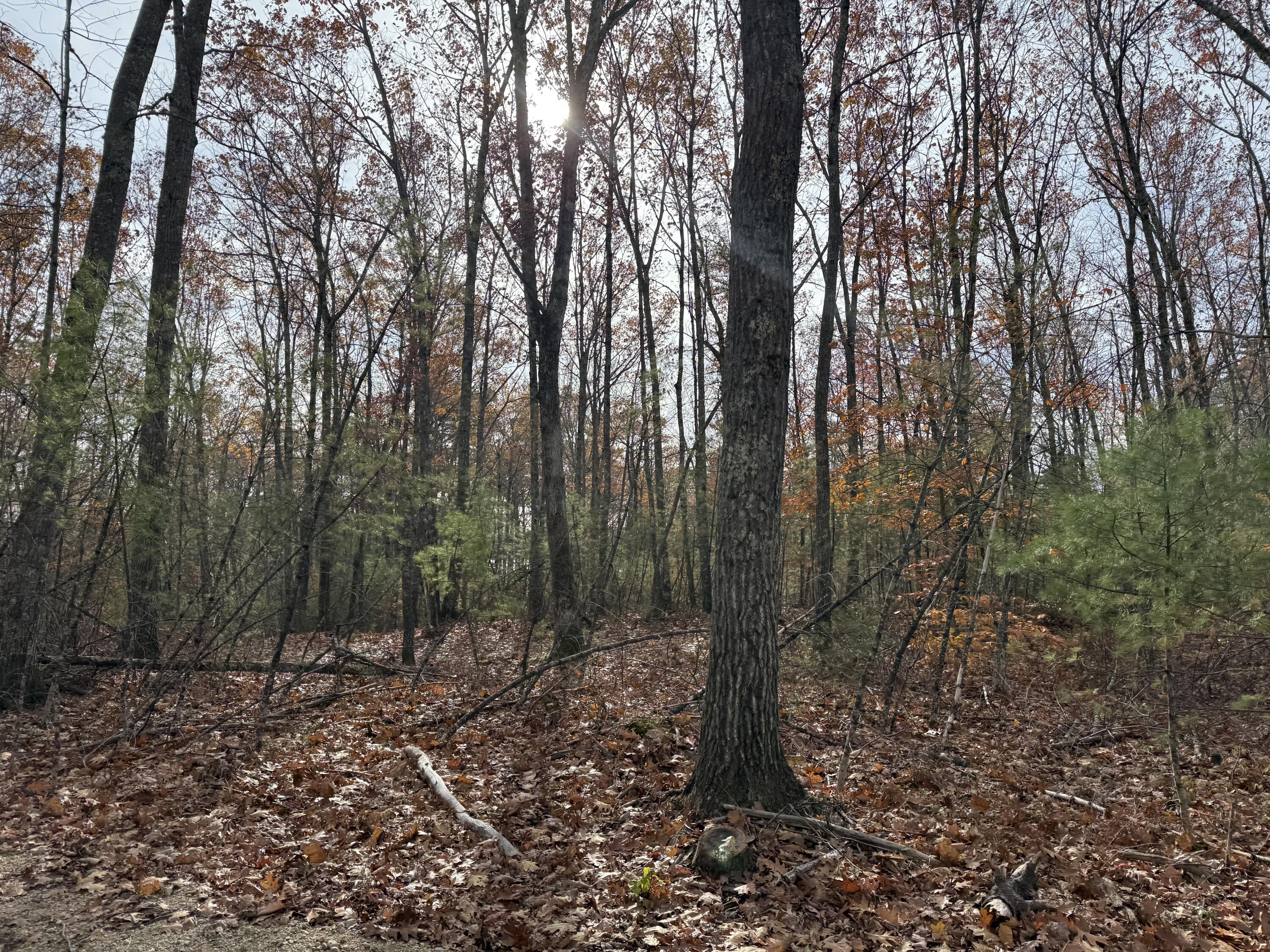 Lot 5 Street Laurent Way Shapleigh ME 04076