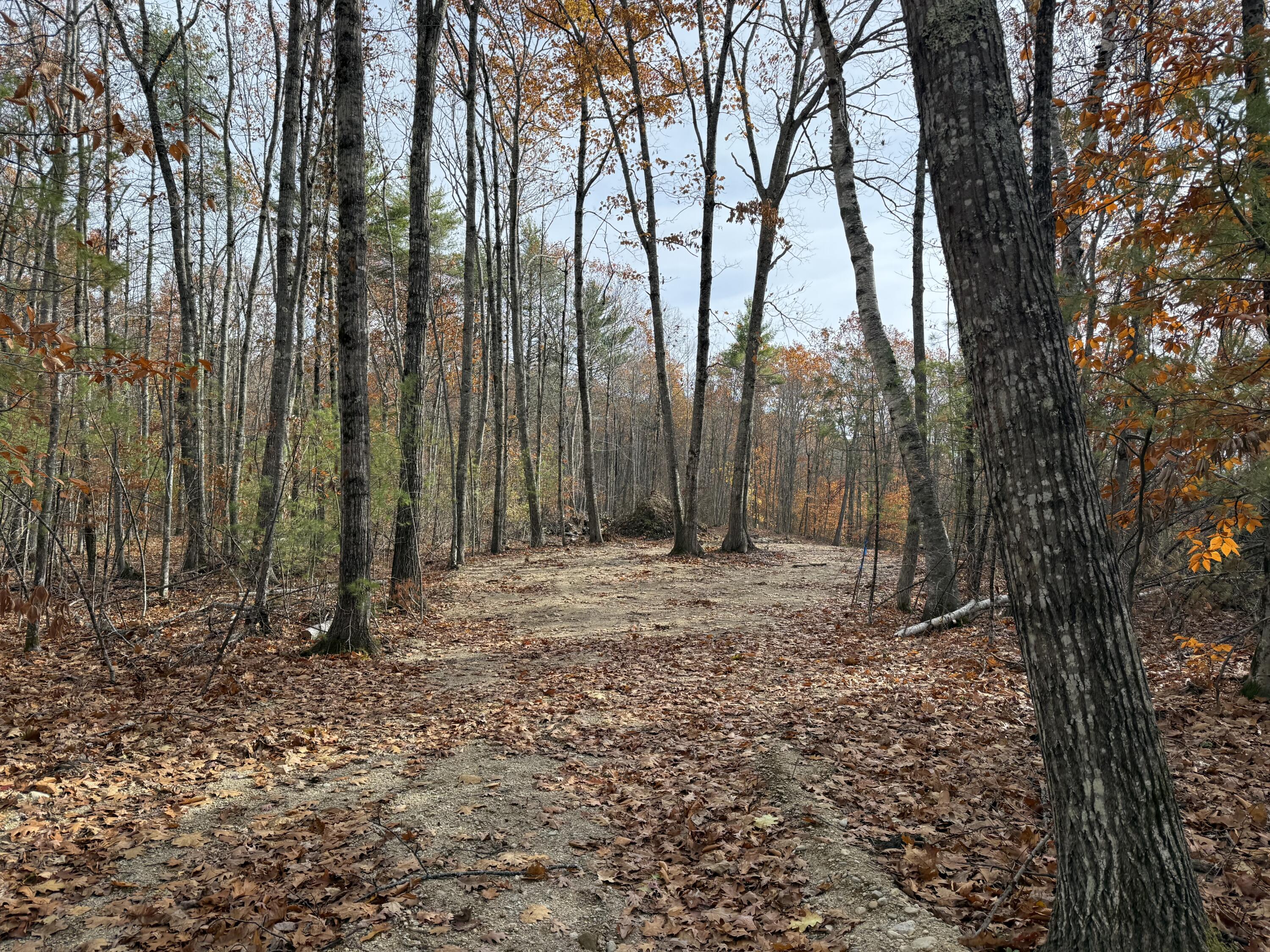 Lot 5 Street Laurent Way Shapleigh ME 04076