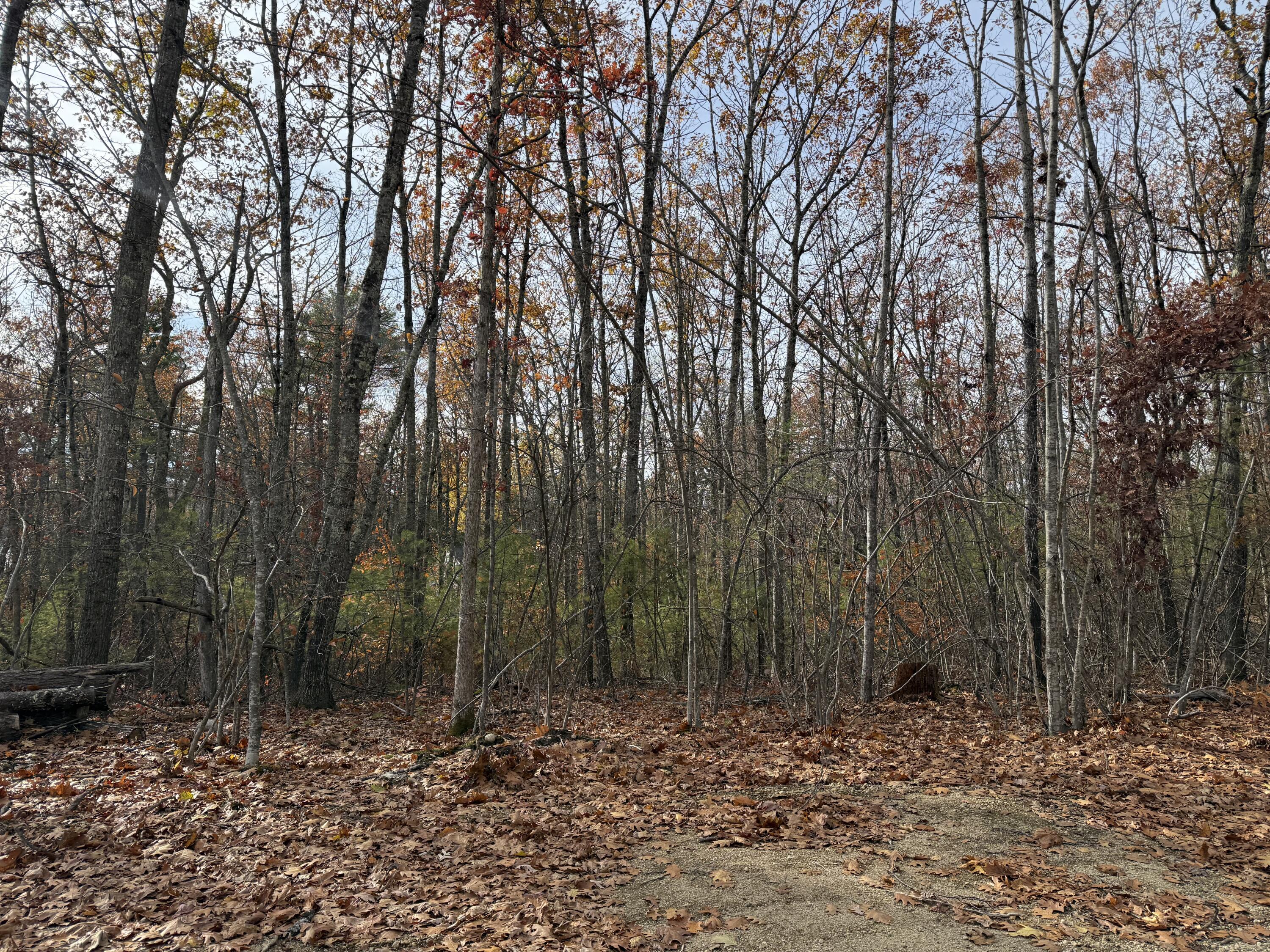 Lot 5 Street Laurent Way Shapleigh ME 04076