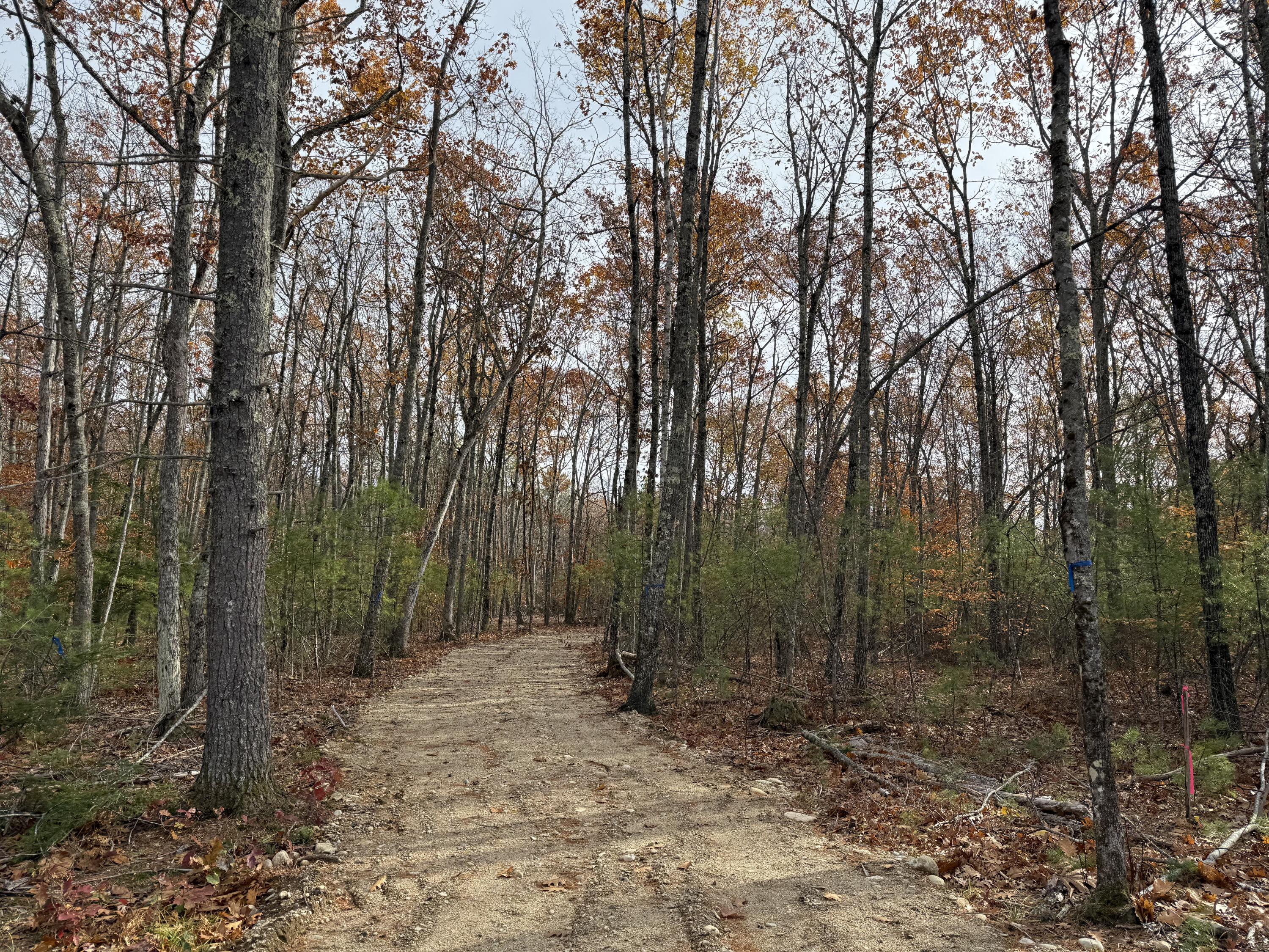 Lot 5 Street Laurent Way Shapleigh ME 04076