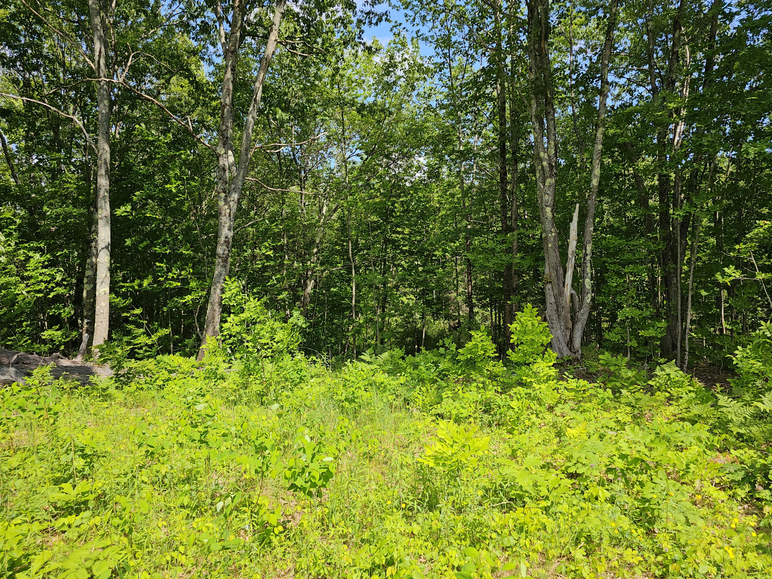 187 Marston Road Richmond ME 04357