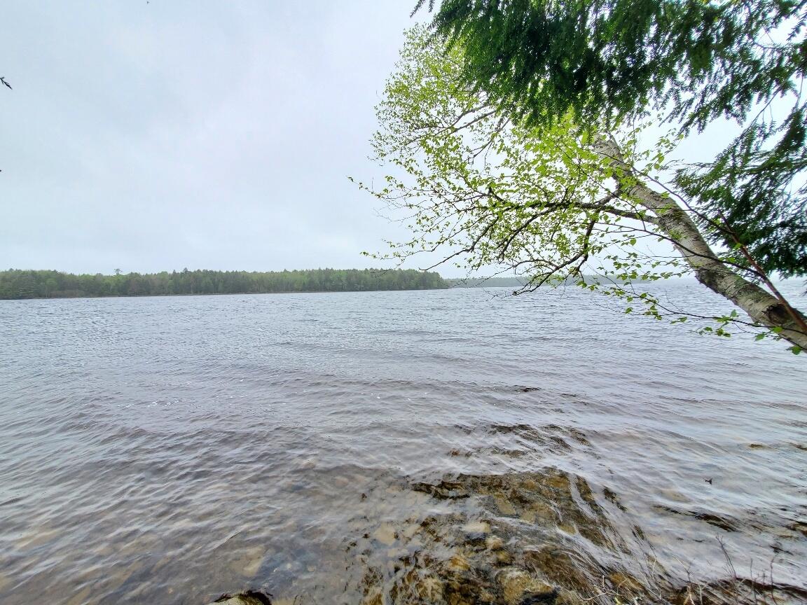 0 Blackcat Point Drive Princeton ME 04668