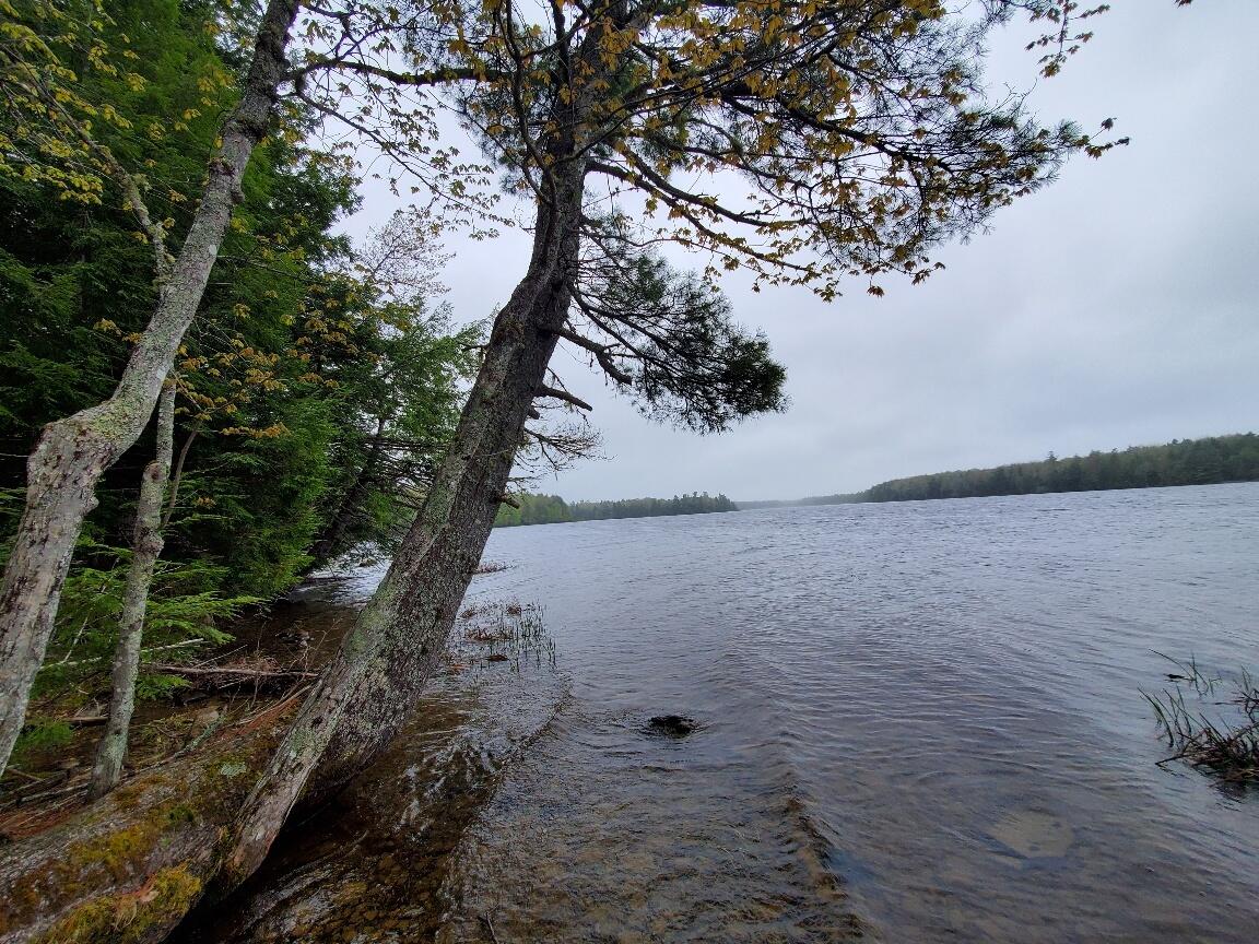 0 Blackcat Point Drive Princeton ME 04668