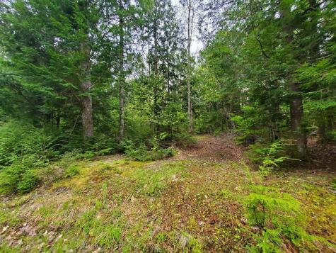 0 Blackcat Point Drive Princeton ME 04668