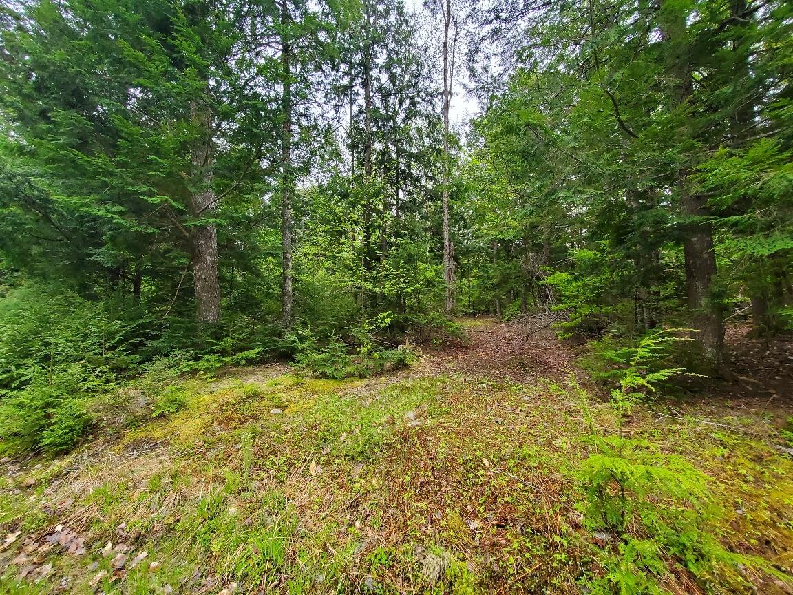 0 Blackcat Point Drive Princeton ME 04668