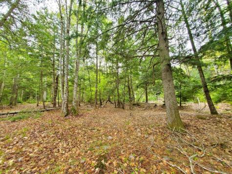 0 Blackcat Point Drive Princeton ME 04668