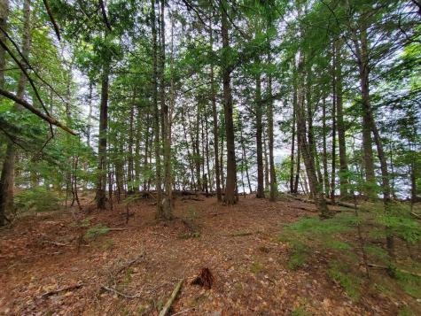 0 Blackcat Point Drive Princeton ME 04668